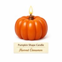 Pumpkin Shape Candle - Harvest Cinnamon